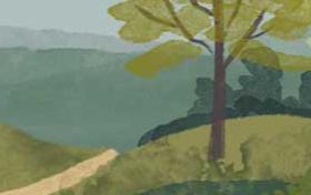 System Involvement - Foster Care