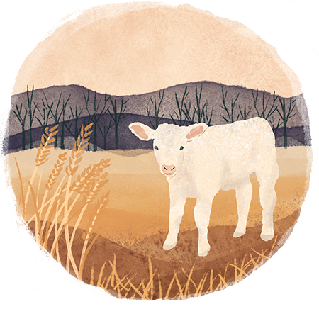 Watercolor cow illustration